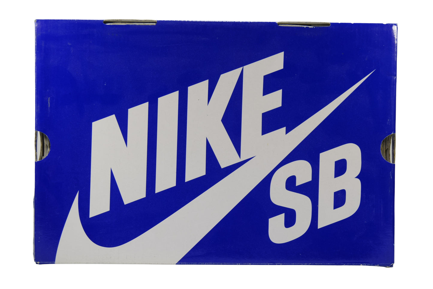 "SEA CRYSTAL" DUNK MID PRO SB