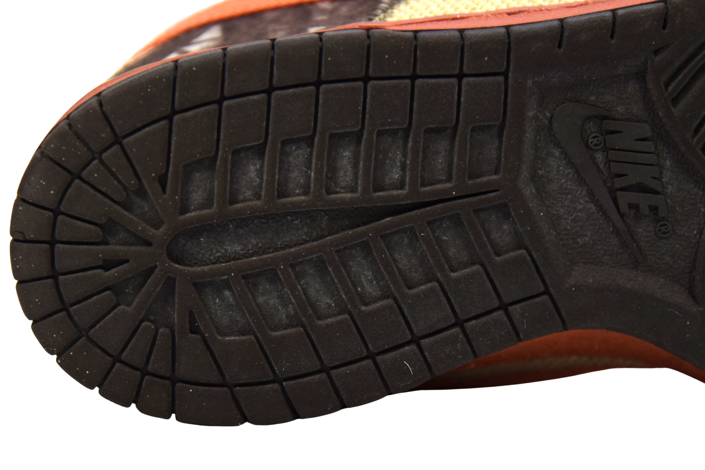 "HUNTER"DUNK LOW PRO SB