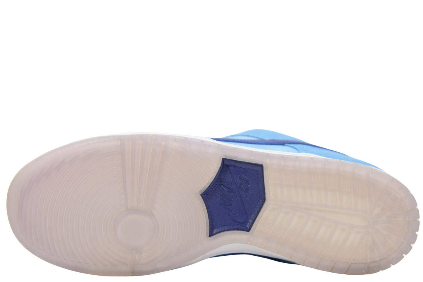 "BLUE FURY"SB DUNK LOW PRO