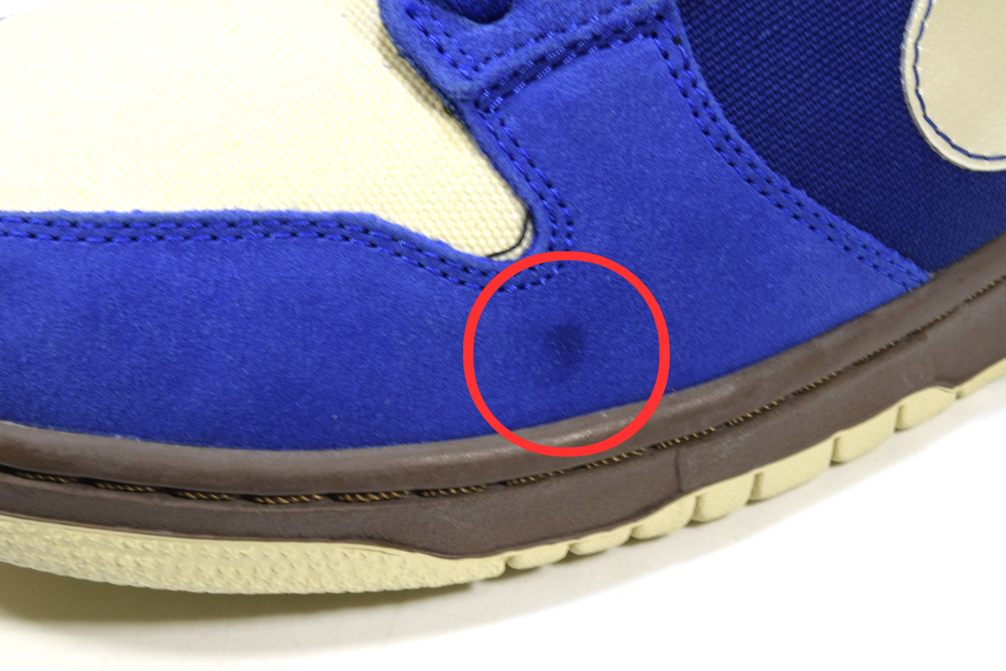 "GOLD RAIL"DUNK LOW PRO SB