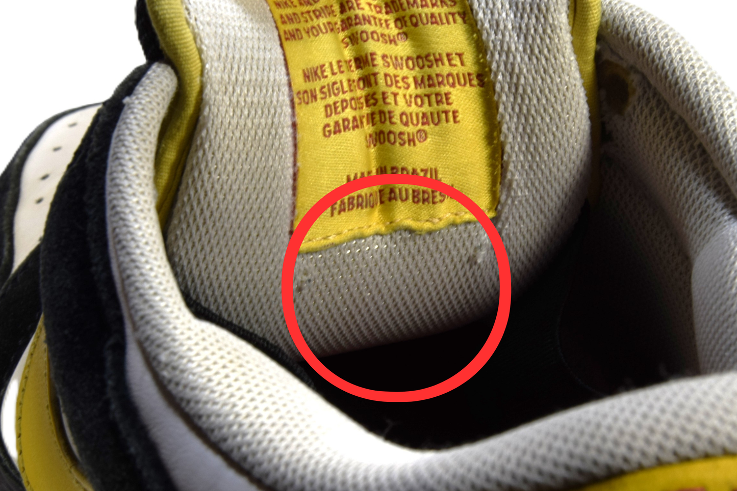 "RODRIGO BLANC"DUNK SB EMB