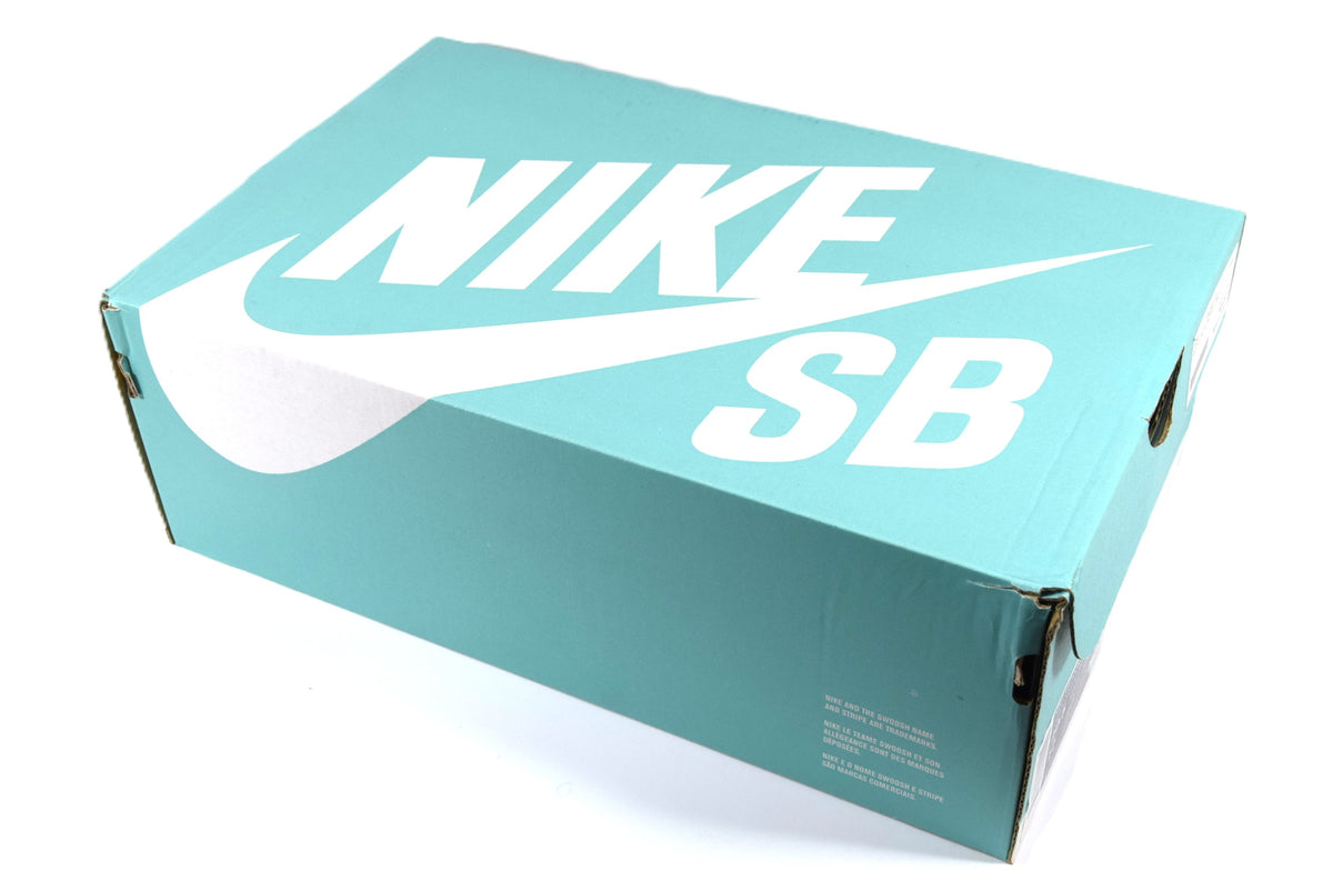 SB ZOOM BLAZER LOW XT
