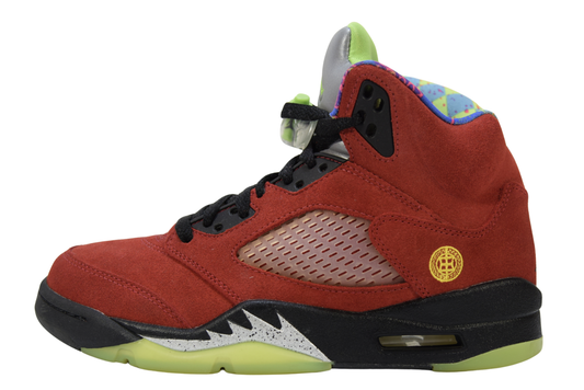 "WHAT THE"AIR JORDAN 5 RETRO SE