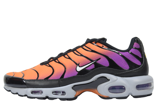 "DESERT SUNSET"AIR MAX PLUS