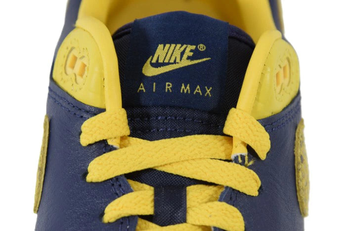"HEAD TO HEAD"W AIR MAX 1 PRM