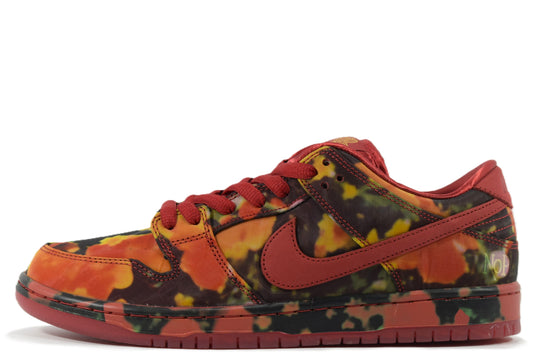 "THE WIZARD OF OZ"SB DUNK LOW PRO WOO QS