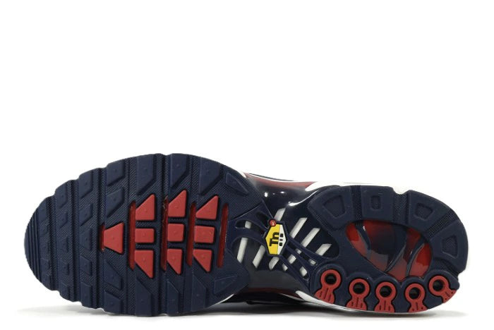 "ECLAIR LIGHTNING"AIR MAX PLUS