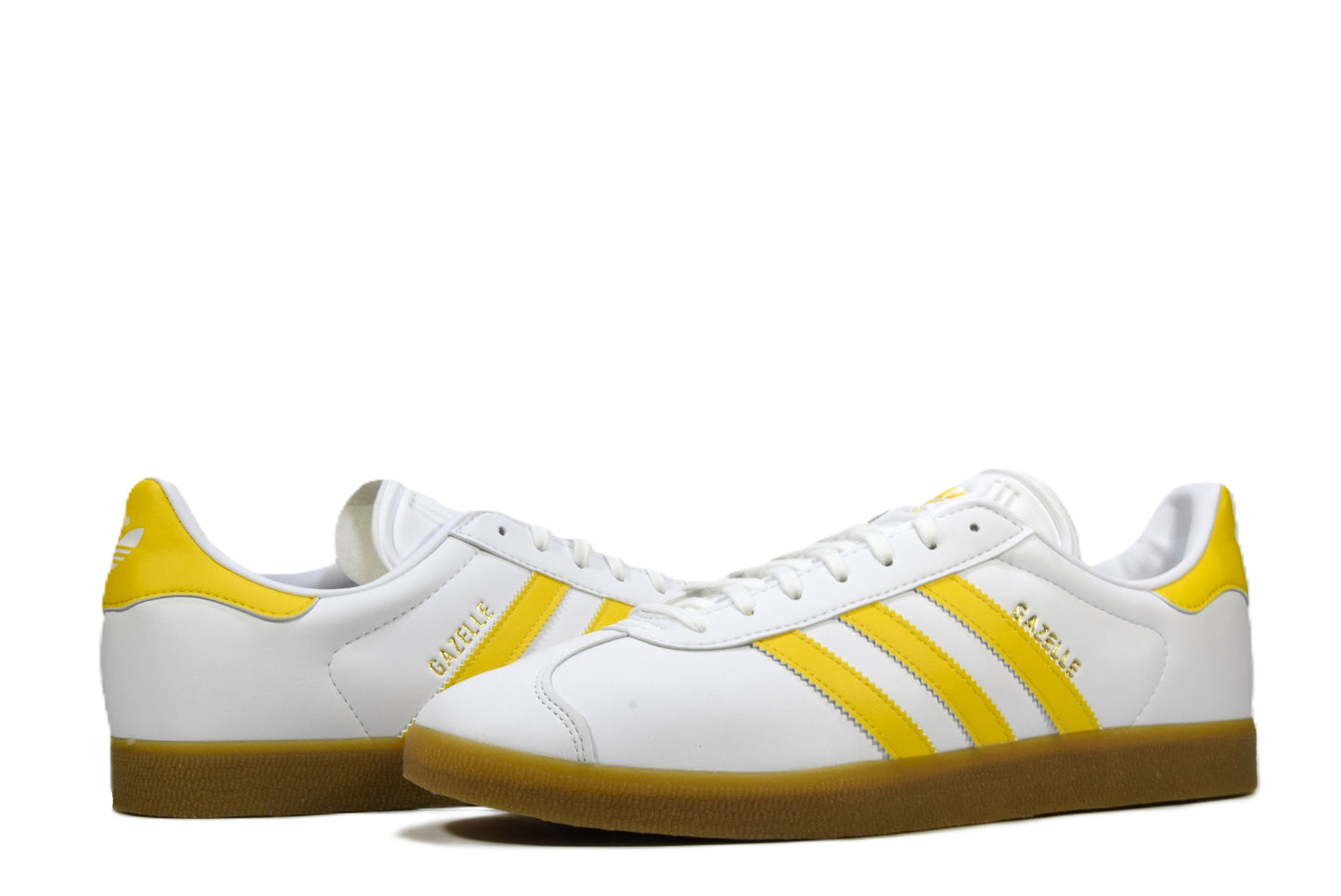 "WHITE GOLD GUM"GAZELLE